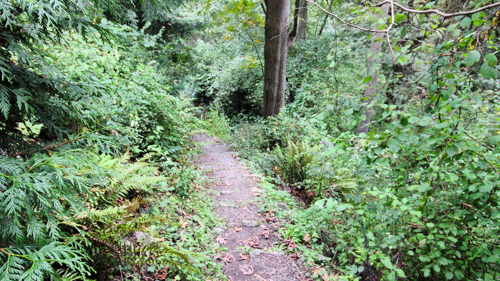 Greenbelt trail along the neighborhood edge