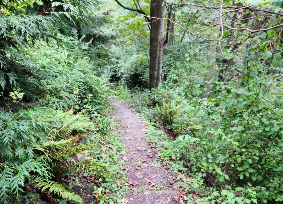 Greenbelt trail along the neighborhood edge