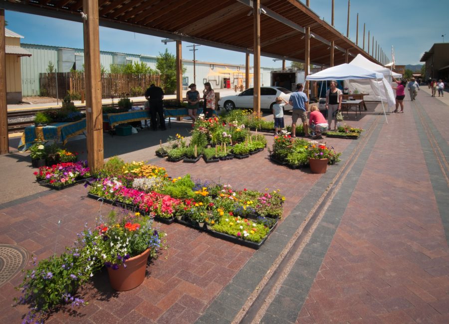Farmers market in the old mill square